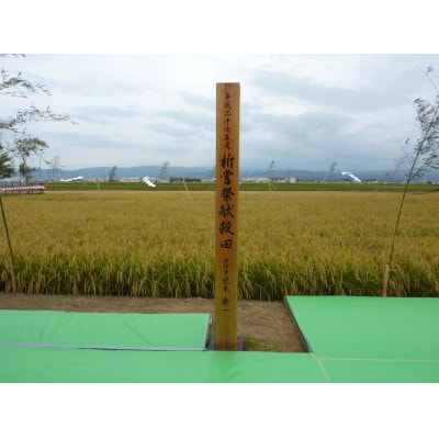 【R8年産】北本農場のお米石川県産コシヒカリ白米10kg×1袋ボカシ肥料米