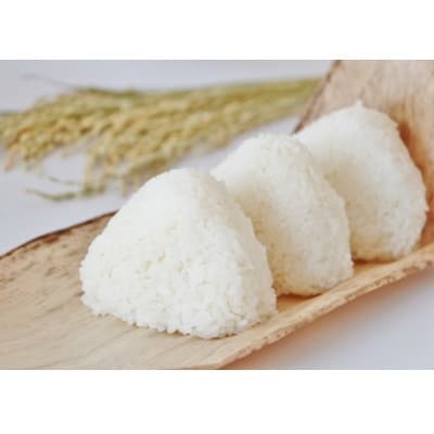【令和7年産】石川県産ひゃくまん穀白米5kg×1袋