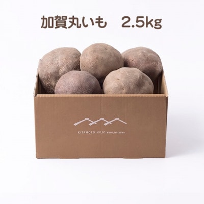 加賀伝統野菜!令和6年度産　加賀丸いも　2.5kg