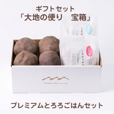 農家直送!!縁起の良いギフトセット「大地の便り　宝箱」プレミアムとろろごはんセット