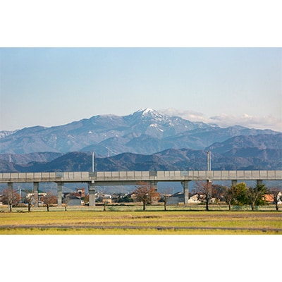 【毎月定期便】石川県産4種のお米食べ比べ定期便　5kg 全4回