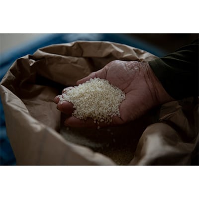 2023年3月発送開始『定期便』石川県産4種のお米食べ比べ定期便　5kg×4ヶ月連続全4回
