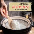 たけもと農場のコシヒカリ白米5kg【石川県能美市産】