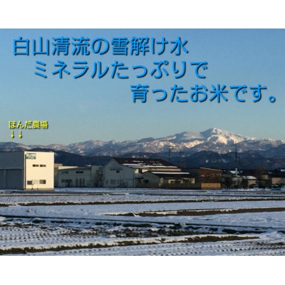 天日干有機米こしひかり「天地の誉」白米5kg