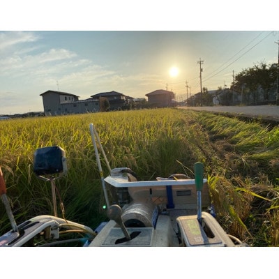 天日干有機米こしひかり「天地の誉」白米5kg