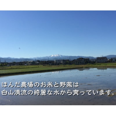 有機米こしひかり「水の精」白米5kg