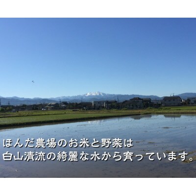 有機米こしひかり「水の精」白米 10kg (5kg×2袋)