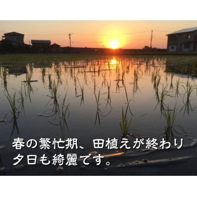 有機米こしひかり「水の精」玄米5kg
