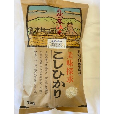 特別栽培米コシヒカリ5kg　精米　石川県産