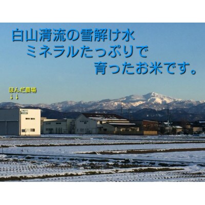 特別栽培米コシヒカリ5kg　精米　石川県産