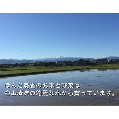 特別栽培米コシヒカリ5kg　精米　石川県産