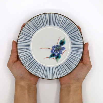 K9-58　5.2号皿揃・五草花　5枚セット