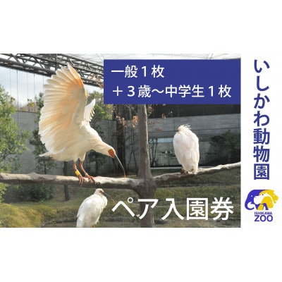 いしかわ動物園ペア入園券(一般+3歳以上中学生以下)