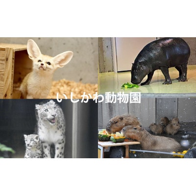 いしかわ動物園ペア入園券(一般+3歳以上中学生以下)