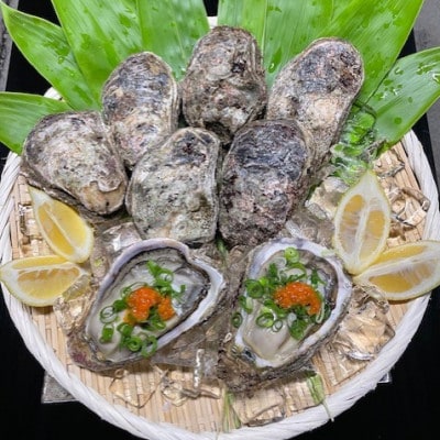 天然岩ガキ　約300g×5～6個　