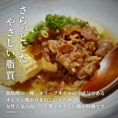 【和牛セレブ】能登牛 切り落とし 1kg(500g×2P)