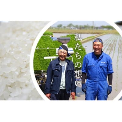 【令和6年産】ミルキークイーン　白米5kg