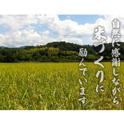 【令和6年産】ミルキークイーン　白米5kg