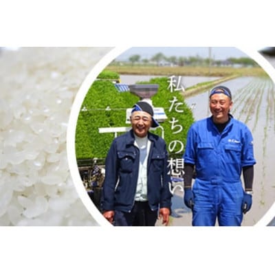 【令和6年産】ミルキークイーン　白米10kg