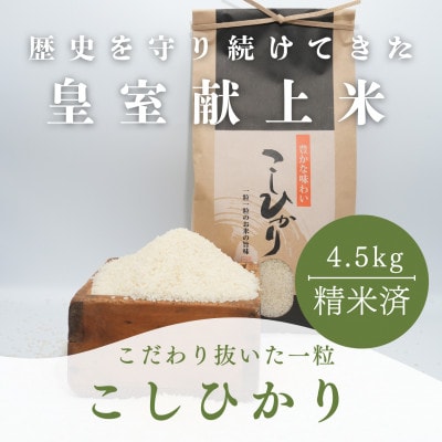 【令和7年度産】お米農家直送　石川県産コシヒカリ　4.5kg