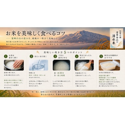 【令和8年度産】お米農家直送　石川県産コシヒカリ　4.5kg