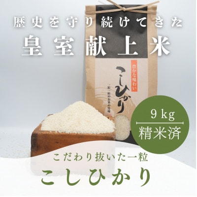 【令和7年度産】お米農家直送　石川県産コシヒカリ　9kg