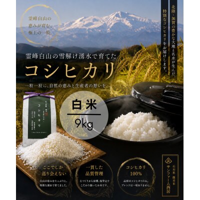 【令和8年度産】お米農家直送　石川県産コシヒカリ　9kg