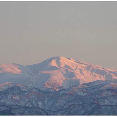【令和7年度産】お米農家直送　石川県産コシヒカリ　9kg