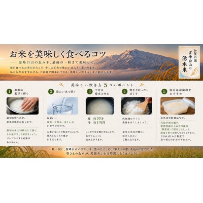 【令和8年度産】お米農家直送　石川県産コシヒカリ　9kg