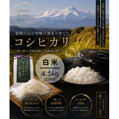 【毎月定期便】コシヒカリ米4.5kg精米　全6回