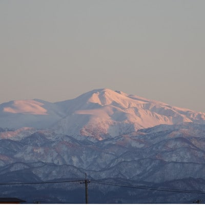 【毎月定期便】コシヒカリ米4.5kg精米　全6回