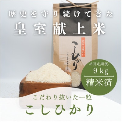 【毎月定期便】コシヒカリ米9kg精米全6回