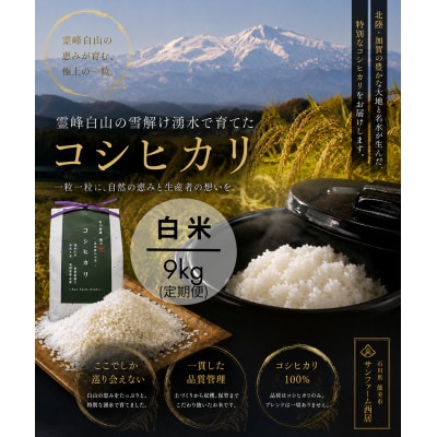 【毎月定期便】コシヒカリ米9kg精米全6回