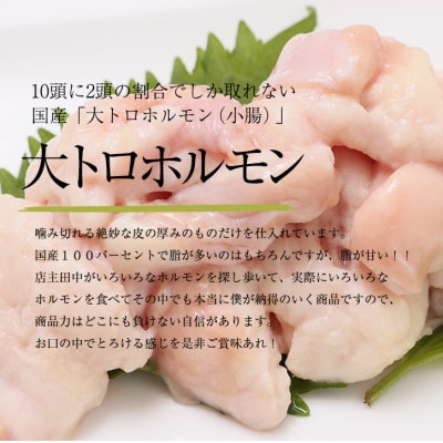 【舞鶴市 厳選】国産 牛ホルモン 【国産牛ホルモン西京味噌焼き1.2kg】
