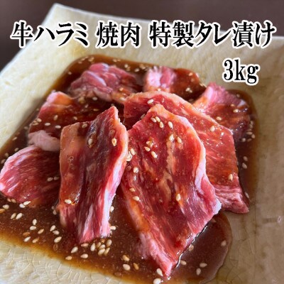 【2023年2月上旬発送】特製 タレ漬け 牛ハラミ  3kg