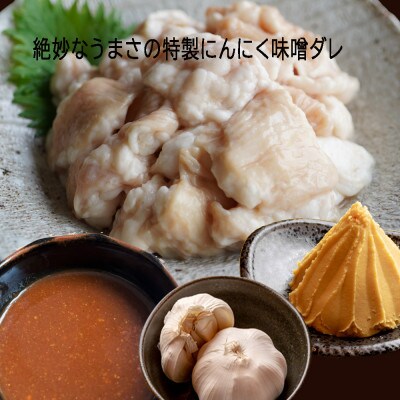 【訳あり】 焼肉 中トロホルモン シマ腸 2kg(250g×8) にんにく味噌味