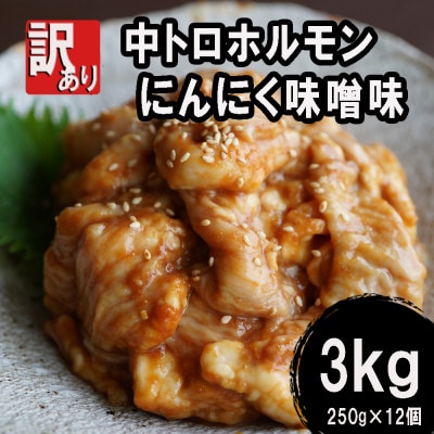 【訳あり】 焼肉 中トロホルモン シマ腸 3kg(250g×12) にんにく味噌味