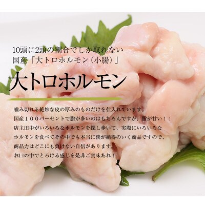 【舞鶴市 厳選】国産 牛ホルモン 【国産牛ホルモン西京味噌焼き900g(8～9人前)】