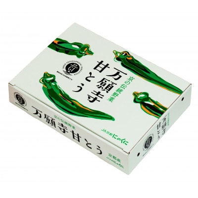 甘い!美味い!辛くない!京のブランド産品「万願寺甘とう」1kg