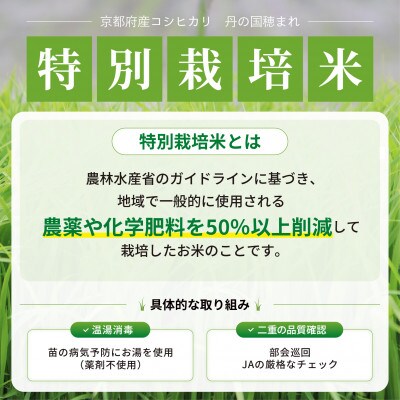 【毎月定期便】京都府産　特別栽培米コシヒカリ「丹の国穂まれ」5kg 全3回