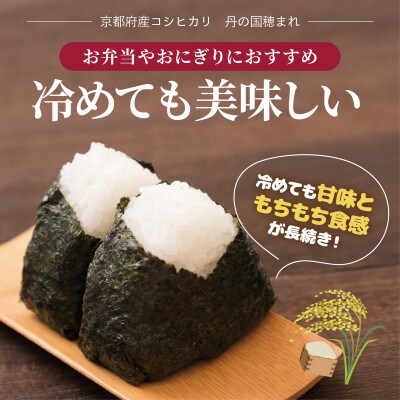 【毎月定期便】京都府産　特別栽培米コシヒカリ「丹の国穂まれ」5kg 全3回