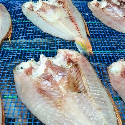 贅沢干物セット