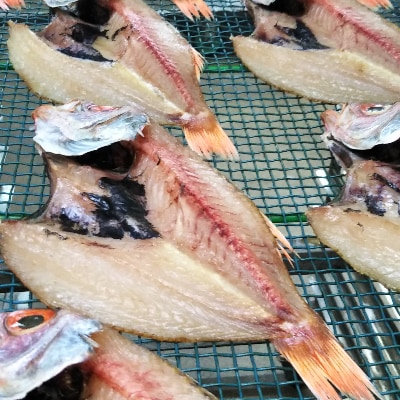 贅沢干物セット