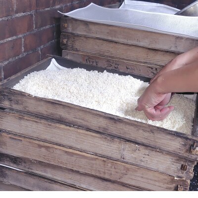 生米麹1kg