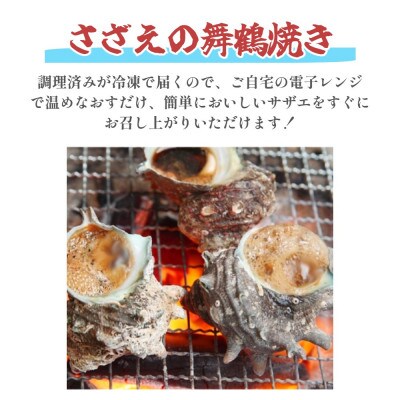 松葉がに 夫婦甲羅盛り サザエ 舞鶴焼き(自家製つゆの壺焼き) セット 特製だし醤油付き
