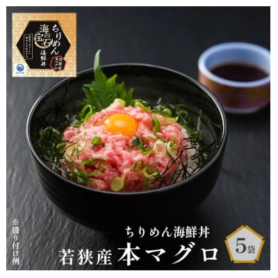海の宝石 ちりめん海鮮丼 若狭産本マグロ