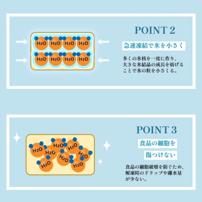 海の宝石 ちりめん海鮮丼 若狭産本マグロ