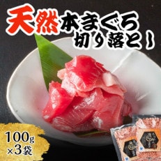 天然 本まぐろ 切り落とし  【特典】海の宝石 ちりめん海鮮丼本マグロ 2袋 解凍レシピ付