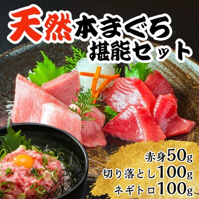 天然 本まぐろ 堪能セット 【特典】海の宝石 ちりめん海鮮丼本マグロ 2袋付き  解凍レシピ付