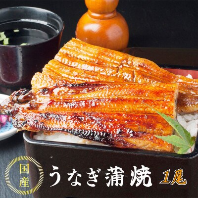 国産うなぎの蒲焼き1尾と特製ダレ55cc